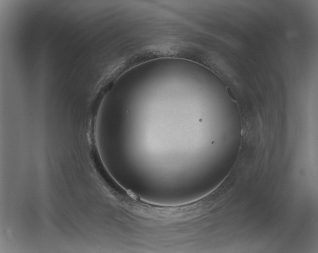 X0000060560023200511031255