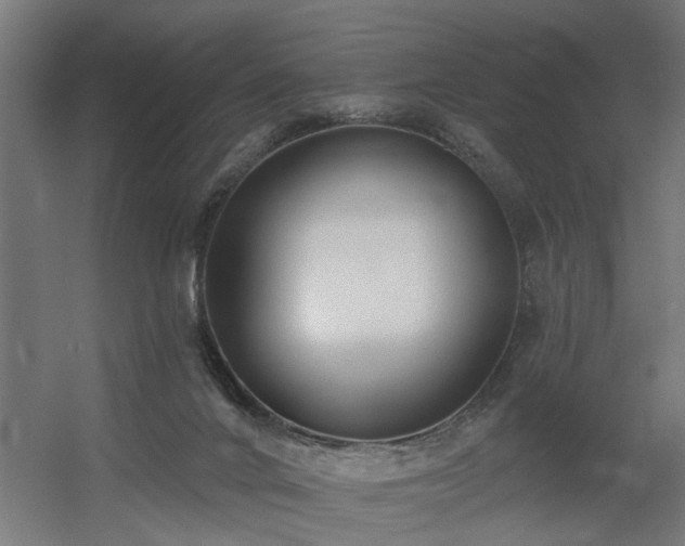 X0000060560024200511031255