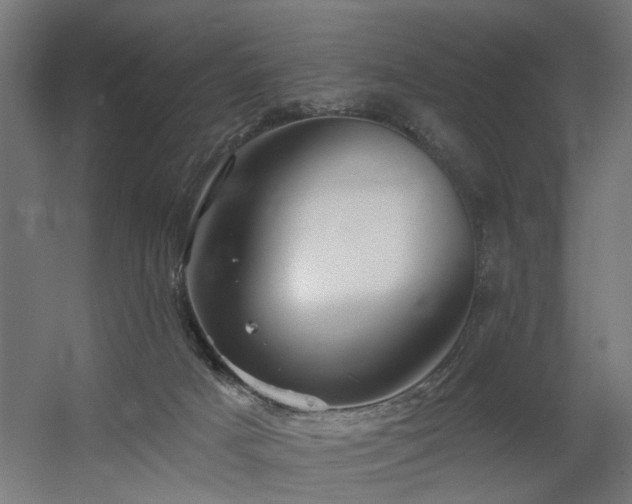 X0000060560025200511031255