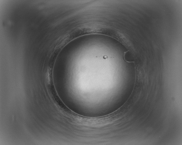 X0000060560026200511031255