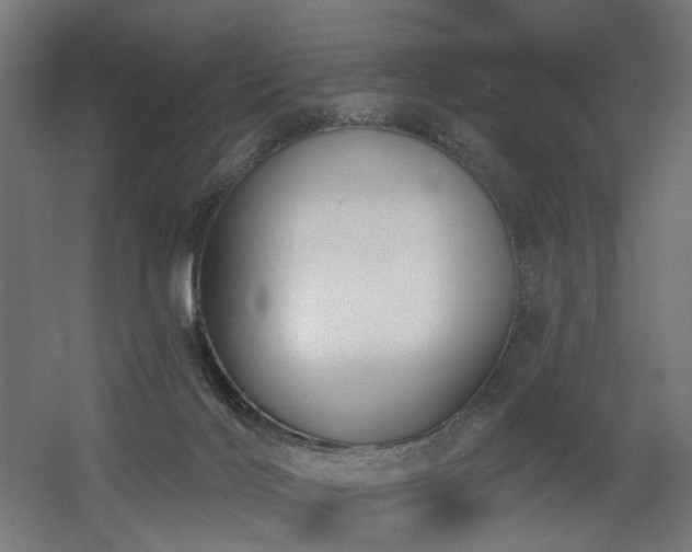 X0000060560028200511031255