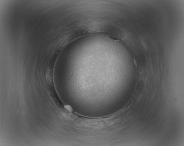 X0000060560029200511031255