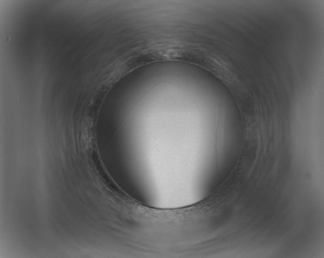 X0000060560030200511031255