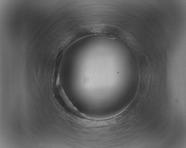 X0000060560031200511031255