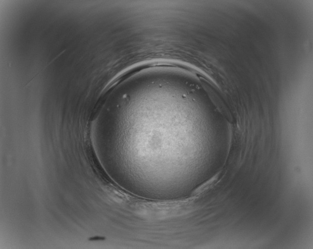 X0000060560033200511031255