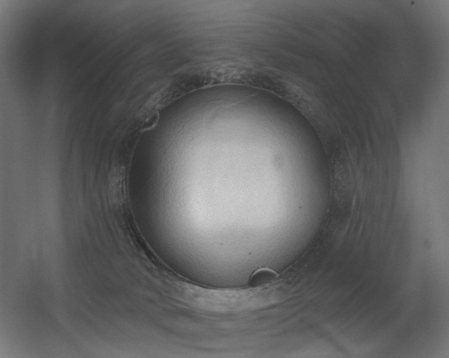 X0000060560034200511031255