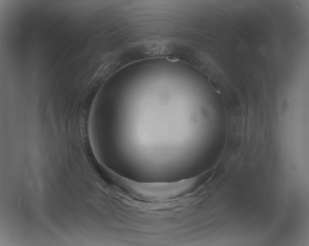 X0000060560035200511031255