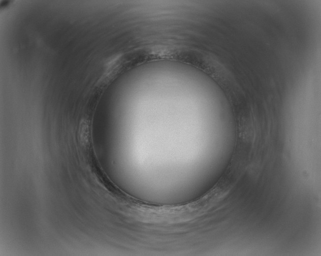 X0000060560036200511031255