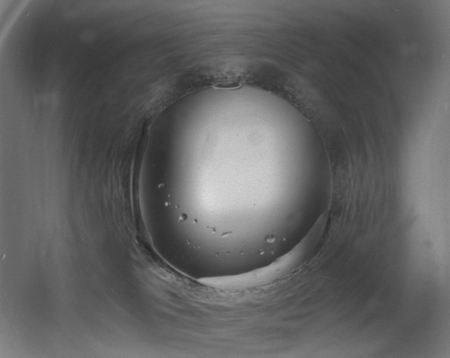 X0000060560037200511031255