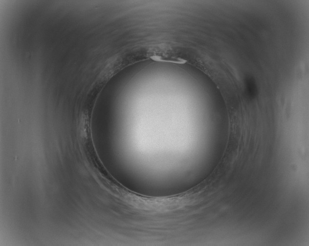 X0000060560038200511031255