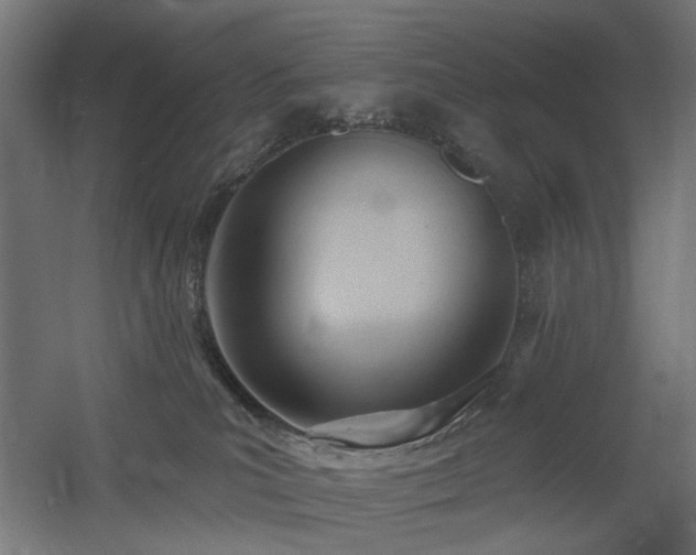 X0000060560039200511031255