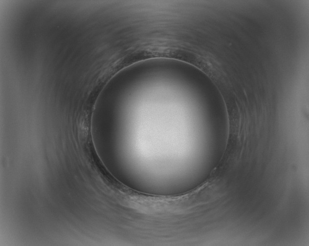 X0000060560040200511031255