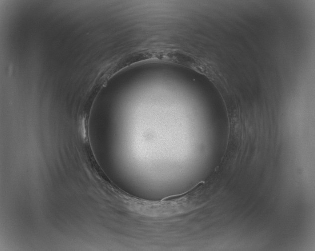 X0000060560042200511031254