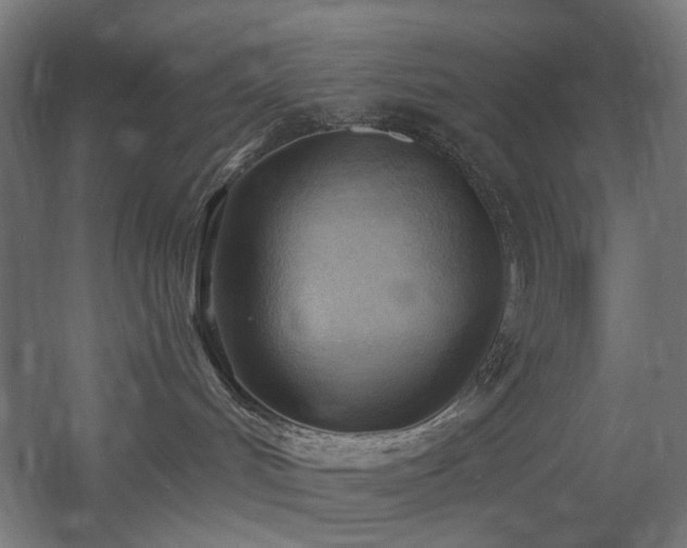 X0000060560048200511031254