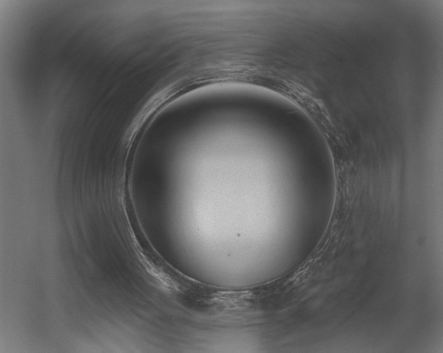 X0000060560051200511031254