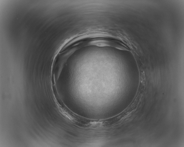 X0000060560052200511031254