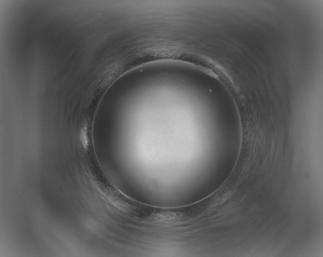 X0000060560069200511031254