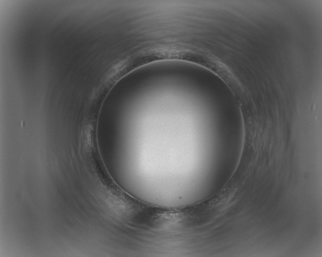 X0000060560071200511031254