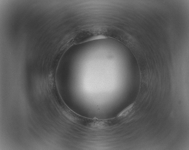 X0000060560086200511031254