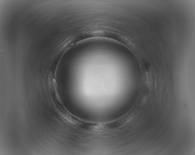 X0000060560092200511031254