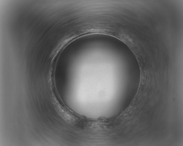 X0000060560098200511031254