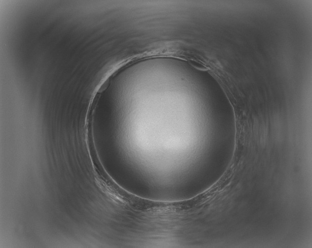 X0000060560100200511031253