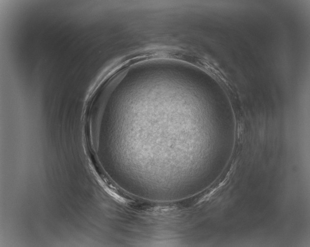 X0000060560101200511031253