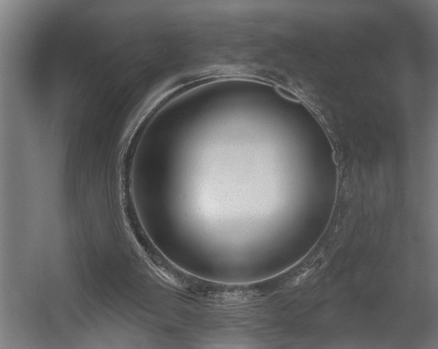 X0000060560103200511031253