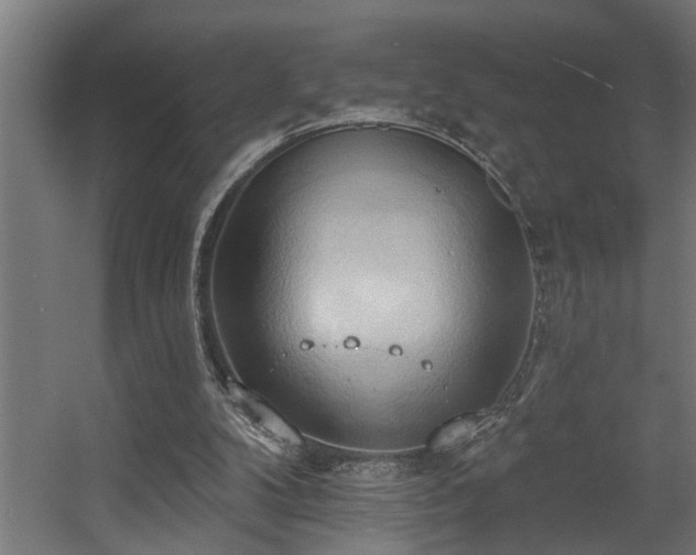 X0000060560104200511031253