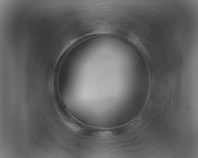 X0000060560108200511031253