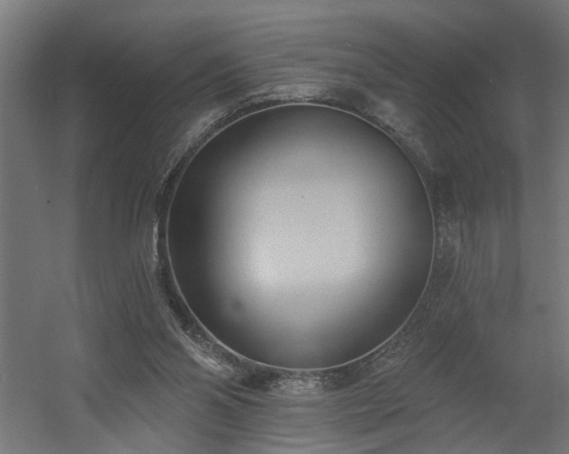 X0000060560110200511031253