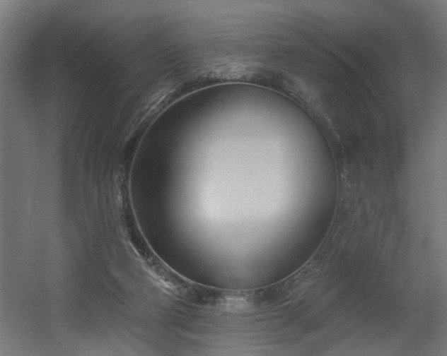 X0000060560114200511031253