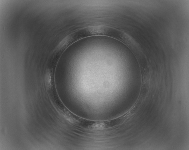 X0000060560124200511031253