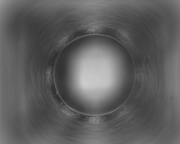 X0000060560127200511031253