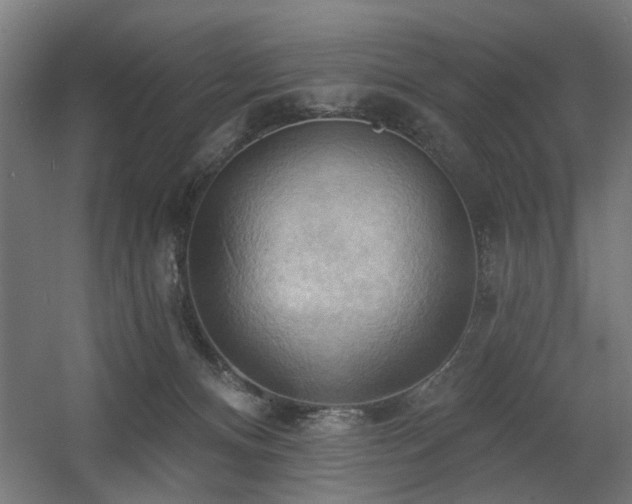 X0000060560128200511031253