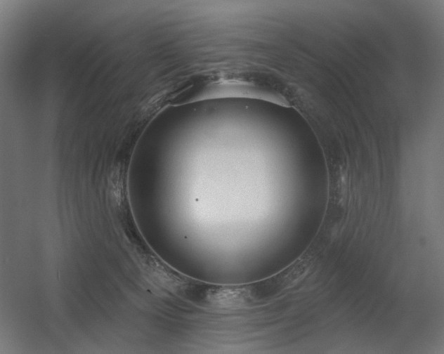 X0000060560129200511031253