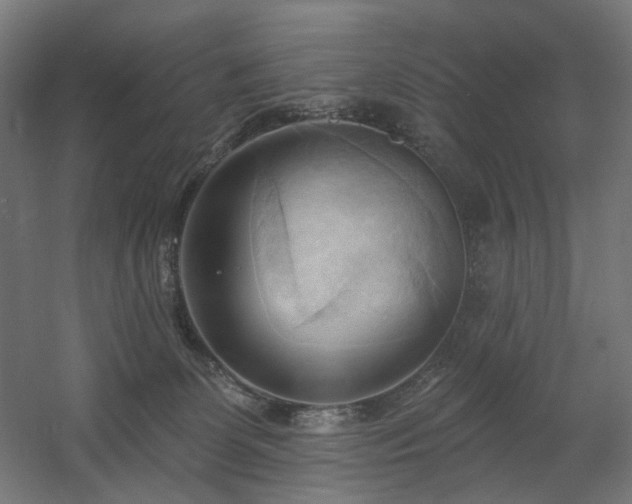 X0000060560131200511031253