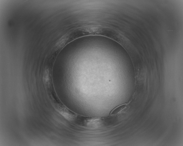 X0000060560132200511031253