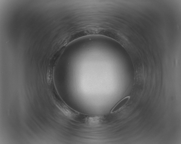 X0000060560134200511031253