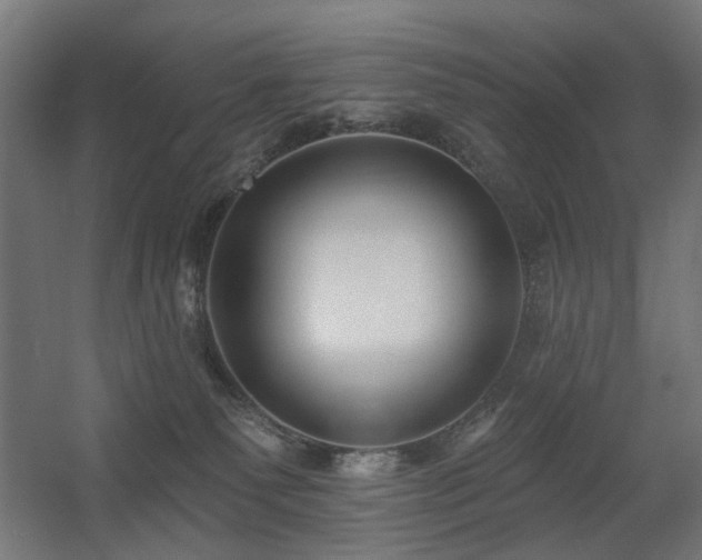 X0000060560135200511031253