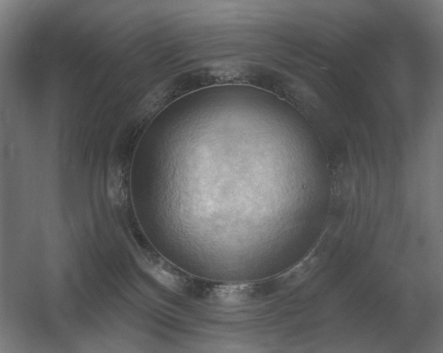 X0000060560136200511031253