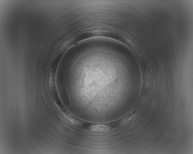 X0000060560137200511031253