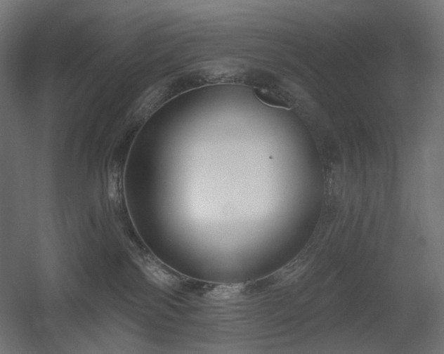 X0000060560138200511031253