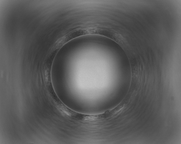 X0000060560139200511031253