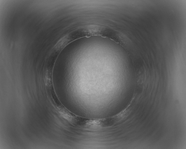 X0000060560140200511031253