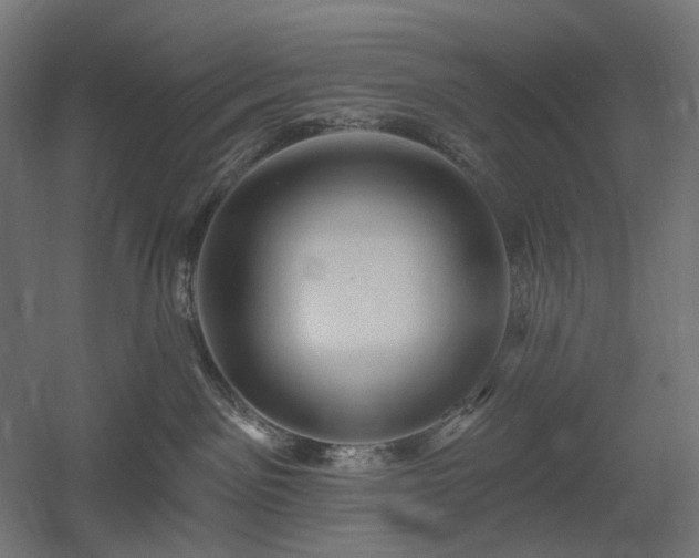 X0000060560141200511031253