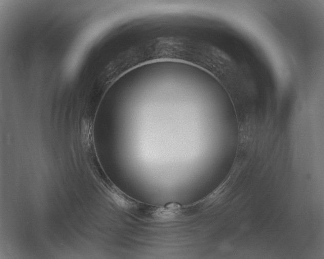 X0000060560142200511031253