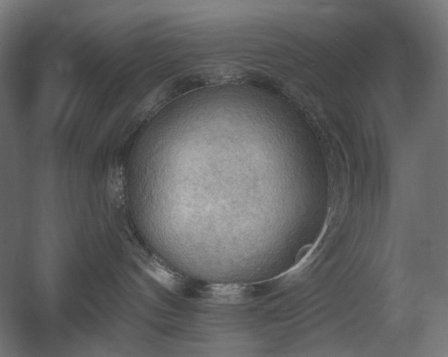 X0000060560144200511031253