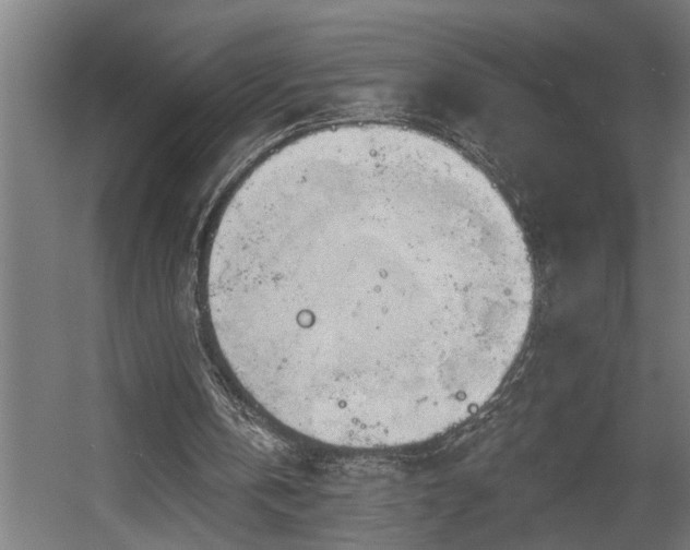 X0000060560146200511031252