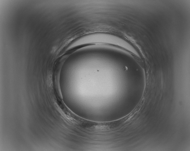 X0000060560154200511031252